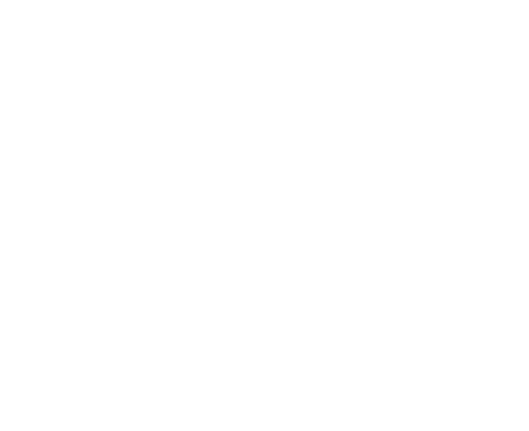 E extravagante copy 2@4x