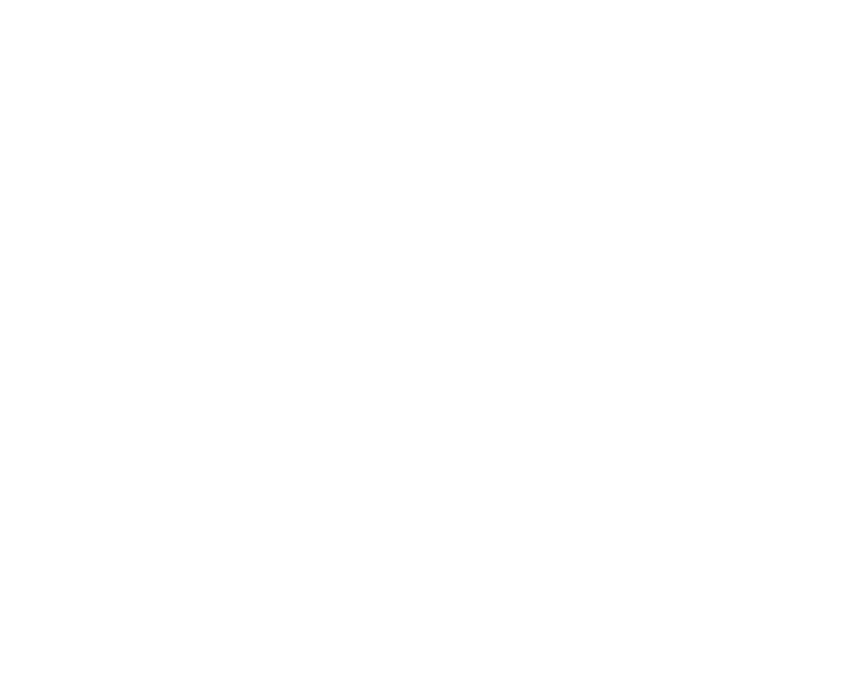 Santeliz Logo, White version